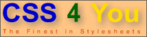 CSS 4 you